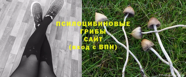альфа пвп Сосновка