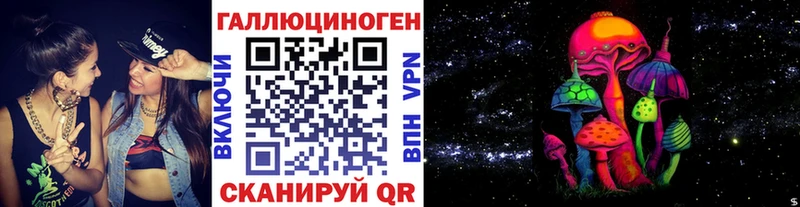 Псилоцибиновые грибы Cubensis  Елизаветинская 